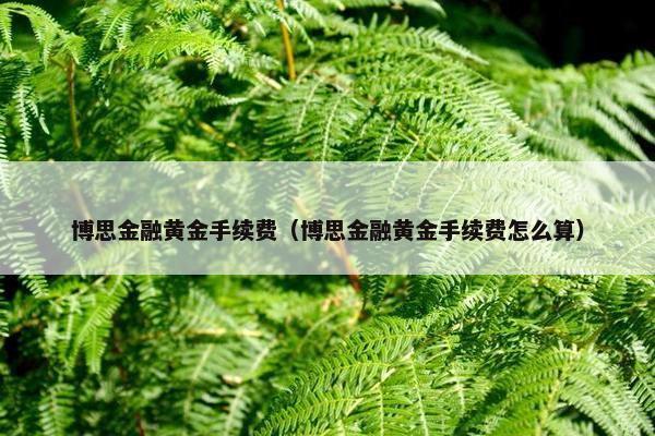 博思金融黄金手续费（博思金融黄金手续费怎么算）
