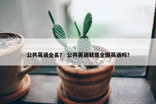 公共英语全名？ 公共英语就是全国英语吗？