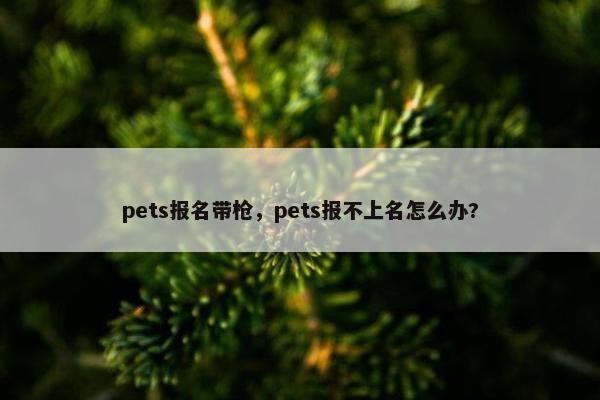 pets报名带枪，pets报不上名怎么办?