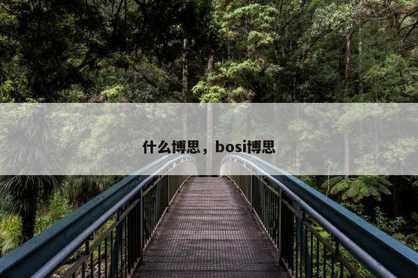 什么博思，bosi博思