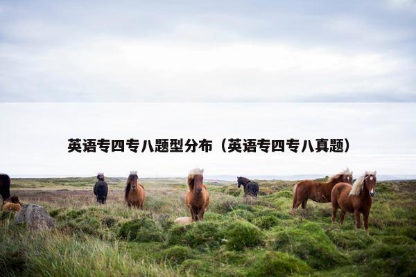 英语专四专八题型分布（英语专四专八真题）