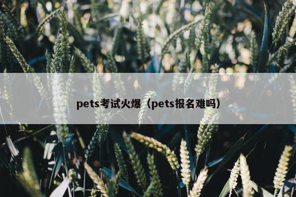 pets考试火爆（pets报名难吗）