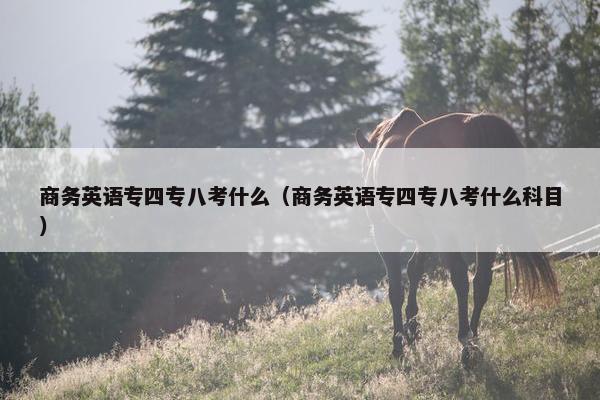 商务英语专四专八考什么（商务英语专四专八考什么科目）