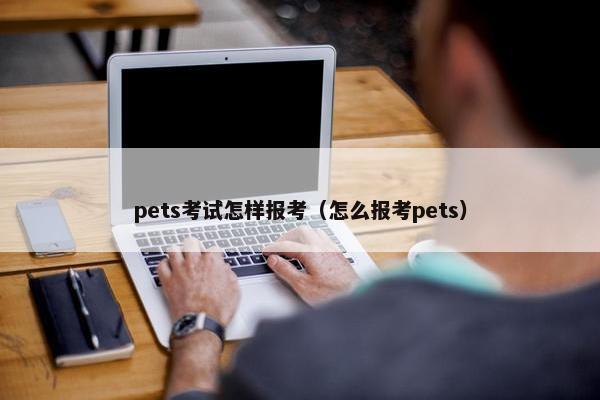 pets考试怎样报考（怎么报考pets）