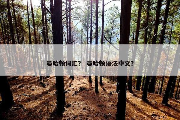 曼哈顿词汇？ 曼哈顿语法中文？