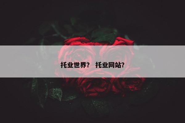 托业世界？ 托业网站？