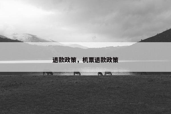 退款政策，机票退款政策