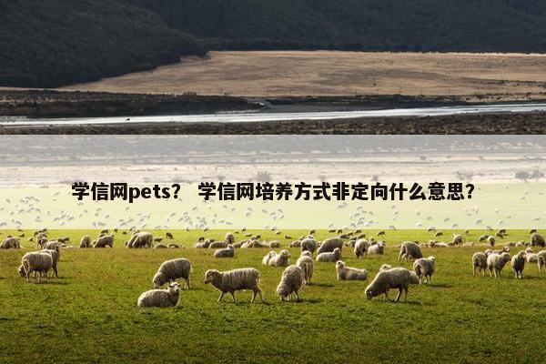 学信网pets？ 学信网培养方式非定向什么意思？