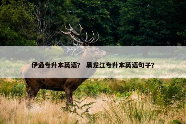 伊通专升本英语？ 黑龙江专升本英语句子？