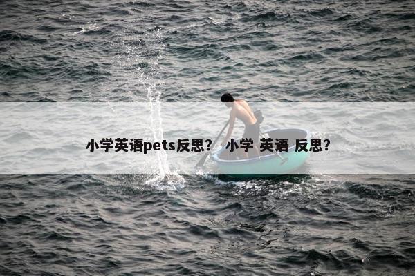 小学英语pets反思？ 小学 英语 反思？
