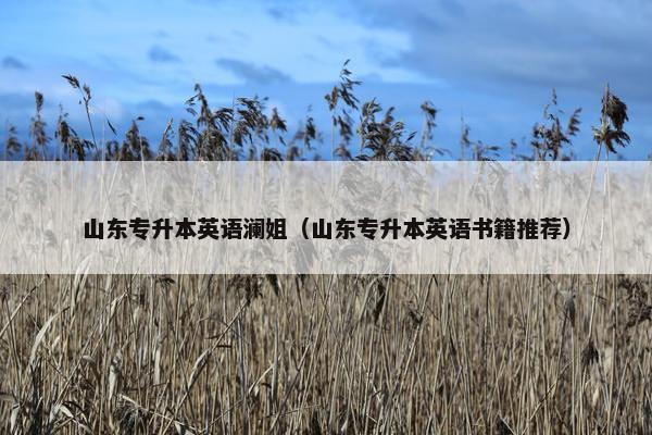 山东专升本英语澜姐（山东专升本英语书籍推荐）