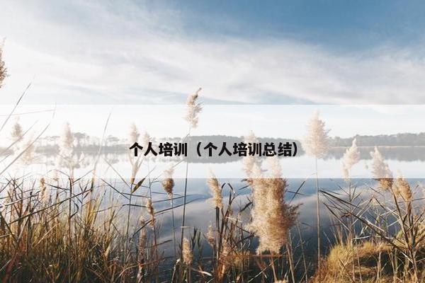 个人培训（个人培训总结）