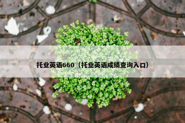 托业英语660（托业英语成绩查询入口）