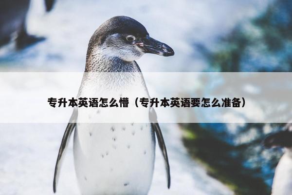 专升本英语怎么懵（专升本英语要怎么准备）