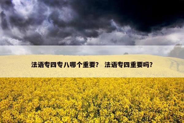 法语专四专八哪个重要？ 法语专四重要吗？