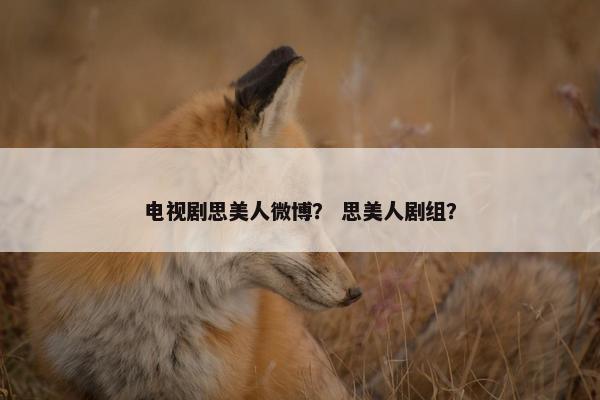 电视剧思美人微博？ 思美人剧组？