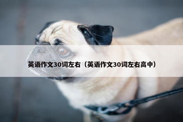 英语作文30词左右（英语作文30词左右高中）