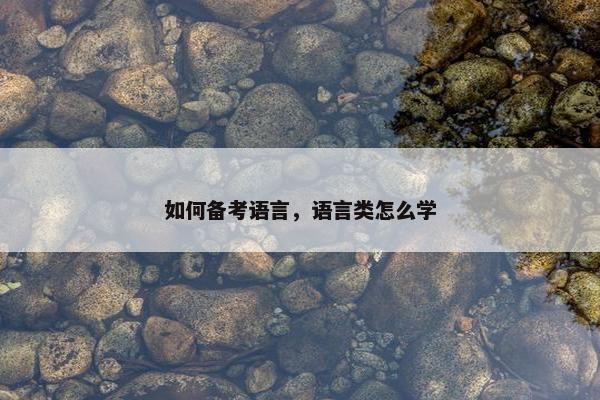 如何备考语言，语言类怎么学