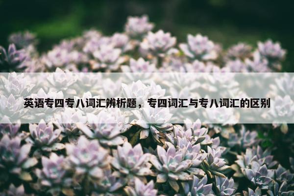 英语专四专八词汇辨析题，专四词汇与专八词汇的区别