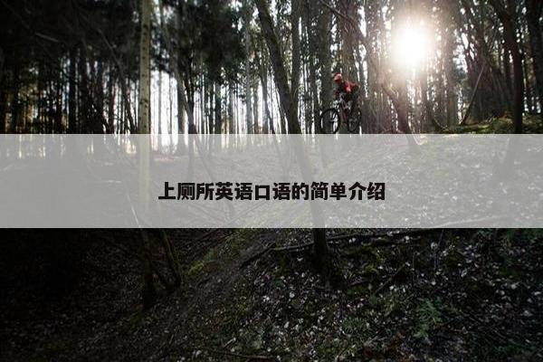 上厕所英语口语的简单介绍