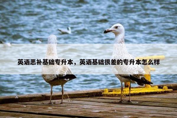 英语恶补基础专升本，英语基础很差的专升本怎么样
