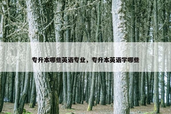 专升本哪些英语专业，专升本英语学哪些