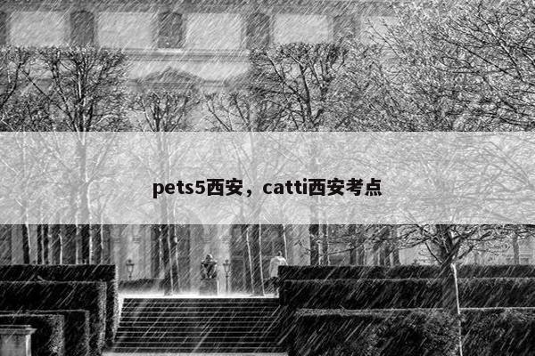 pets5西安，catti西安考点