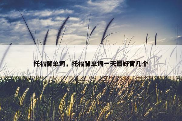 托福背单词，托福背单词一天最好背几个