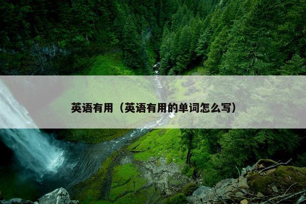 英语有用（英语有用的单词怎么写）