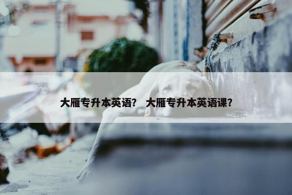 大雁专升本英语？ 大雁专升本英语课？