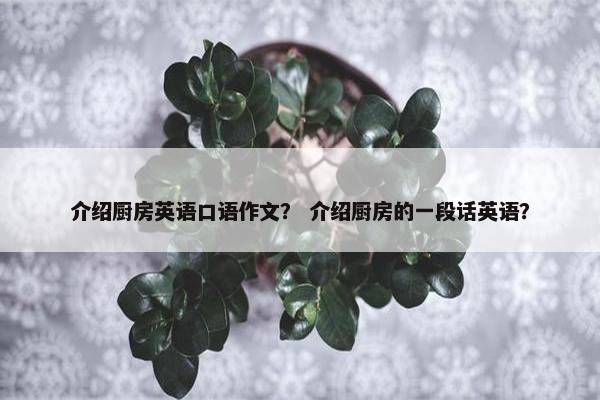 介绍厨房英语口语作文？ 介绍厨房的一段话英语？