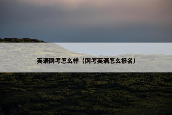 英语网考怎么样（网考英语怎么报名）