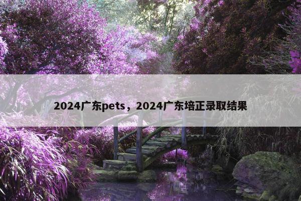 2024广东pets，2024广东培正录取结果