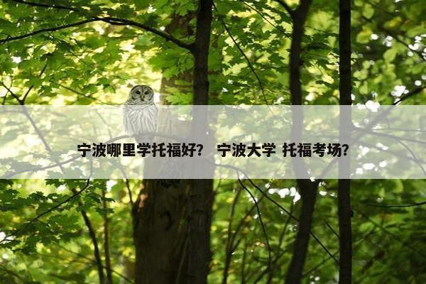 宁波哪里学托福好？ 宁波大学 托福考场？
