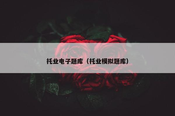 托业电子题库（托业模拟题库）