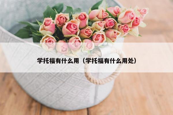学托福有什么用（学托福有什么用处）