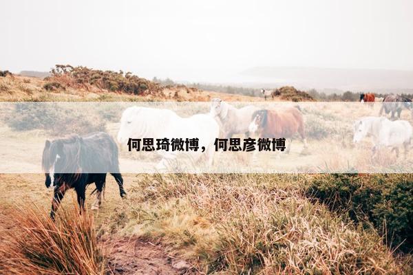 何思琦微博，何思彦微博