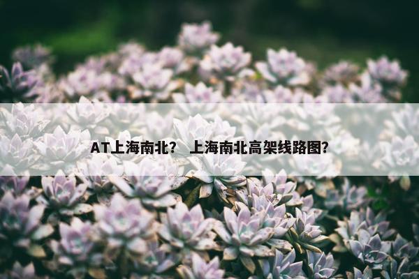 AT上海南北？ 上海南北高架线路图？