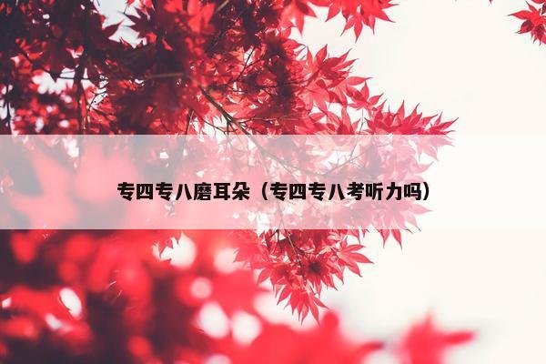 专四专八磨耳朵（专四专八考听力吗）