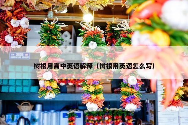 树根用高中英语解释（树根用英语怎么写）