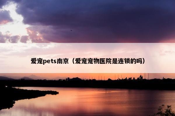 爱宠pets南京（爱宠宠物医院是连锁的吗）