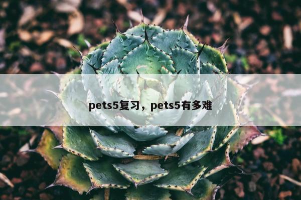 pets5复习，pets5有多难