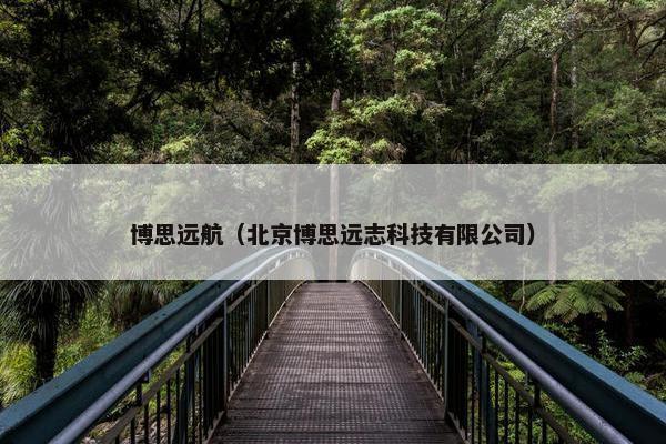 博思远航（北京博思远志科技有限公司）