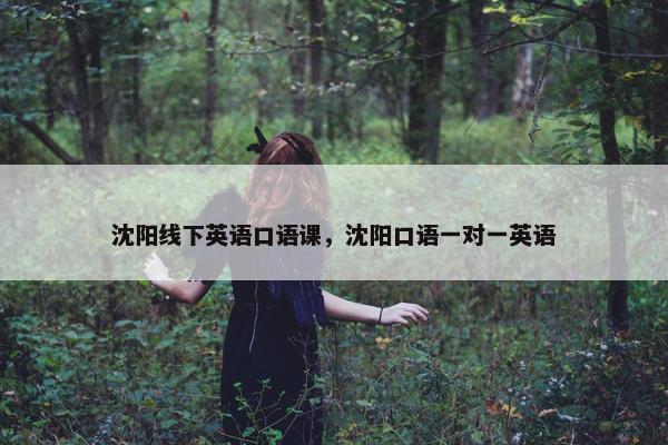 沈阳线下英语口语课，沈阳口语一对一英语