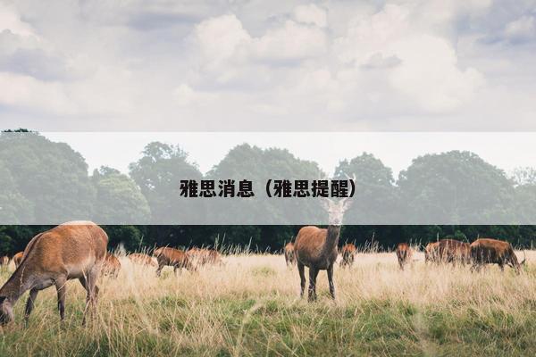 雅思消息（雅思提醒）