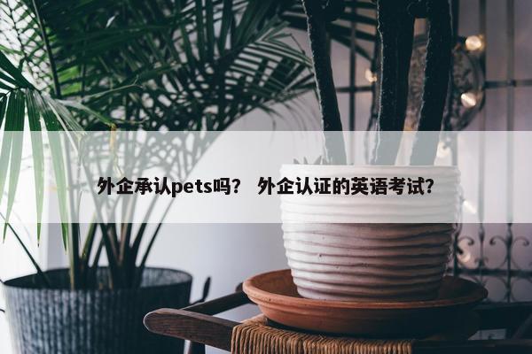 外企承认pets吗？ 外企认证的英语考试？