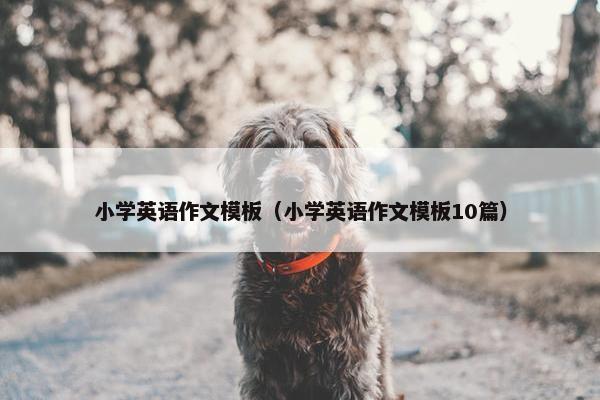 小学英语作文模板（小学英语作文模板10篇）