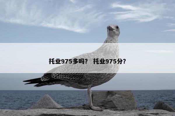 托业975多吗？ 托业975分？