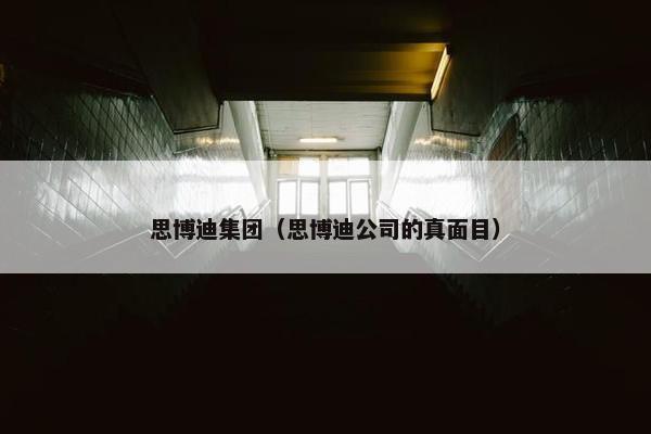 思博迪集团（思博迪公司的真面目）