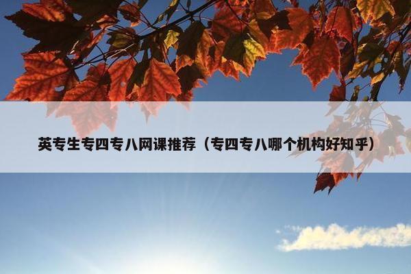 英专生专四专八网课推荐（专四专八哪个机构好知乎）